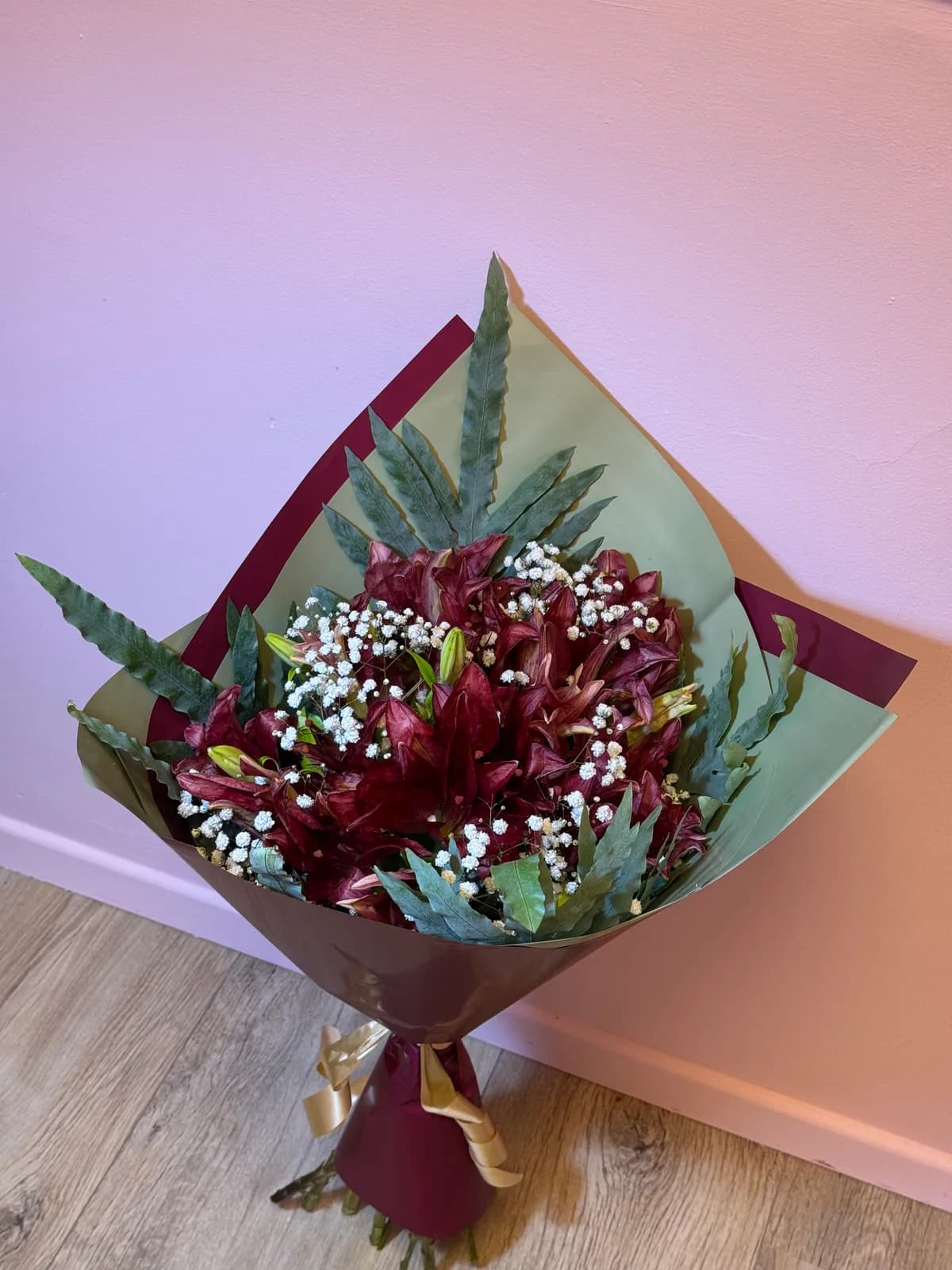 Velours Bordeaux
